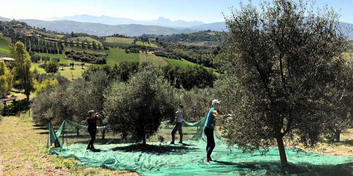 Villa Bussola arrangementen