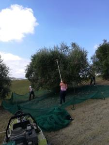 villa-bussola-herfst-najaar-2018 (5)