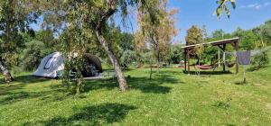 20230528 1109321200pix