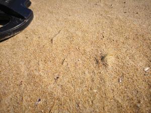 villa-bussola-metaldetecting (11)