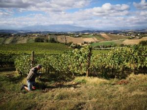 villa-bussola-metaldetecting (18)