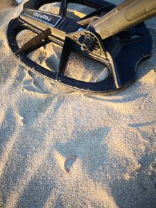 villa-bussola-metaldetecting (30)