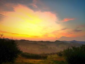 villa-bussola-nazomer-2018 (17)