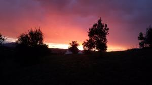 villa-bussola-seizoen-2016 (34)