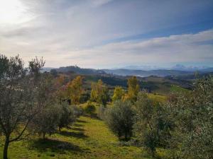 C360 2020-01-30-10-03-34-038