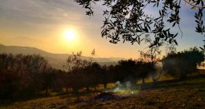 C360 2020-01-30-16-26-21-508