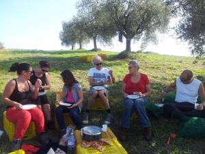 Olivenpluk_villa_bussola (23)