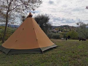 villa bussola 2020-s (10)