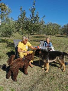 villa bussola 2020-s (11)