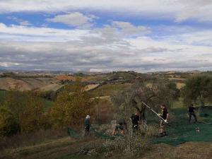 villa bussola 2020 (1)