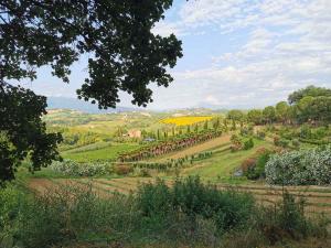 villa bussola 2020 (20)