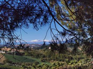 villa bussola 2020 (26)