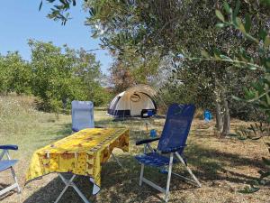 villa bussola 2020 (34)