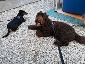 villa bussola 2020 (42)