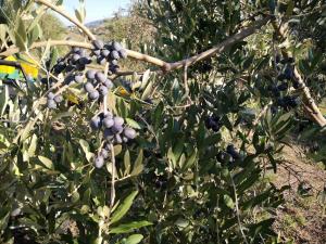 villa bussola 2020 (53)