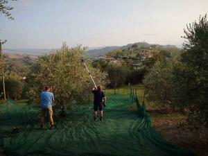 villa bussola 2020 (56)