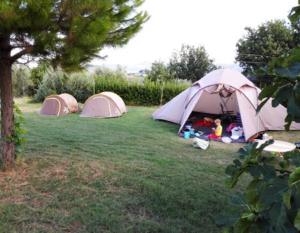 camping7